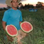 agricultor-melancia
