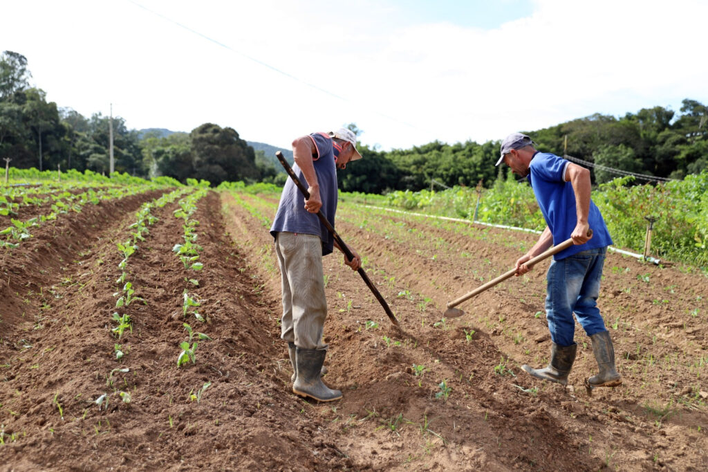 A especialista reforça que até produtores pessoas físicas, que vendem em feiras, entrepostos e cooperativas, podem se beneficiar desse tipo de acompanhamento